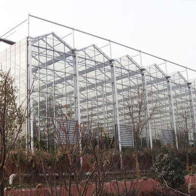 I lati ed il vetro superiore di Multispan del sistema di ventilazione hanno riguardato il tipo serra di Venlo