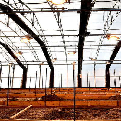 Serra di privazione della luce del film della tettoia dell'ombra impermeabile per agricoltura