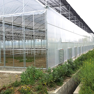 Involucro di plastica di alta qualità Vento-resistente di crescita del raccolto 8 Mil Multi Span Greenhouse