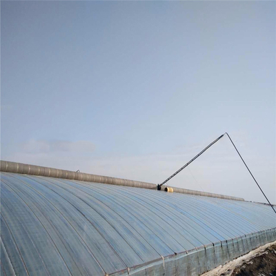 Serra agricola a pellicola di plastica con elevato isolamento e circolazione automatica dell'aria
