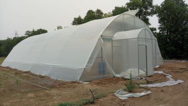 La serra d'acciaio galvanizzata del film plastico della immersione calda coltiva la dimensione della tenda su misura