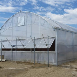 I sistemi della tenda di blackout della serra hanno automatizzato le privazioni leggera 8m - 12m
