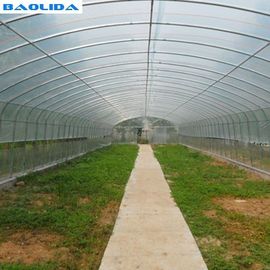 Serra stabile della pellicola di polietilene della struttura/serra di verdure della pianta di pomodori
