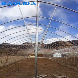Serra stabile della pellicola di polietilene della struttura/serra di verdure della pianta di pomodori