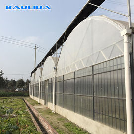 Multi serra della portata della tettoia di plastica/politene agricolo coltivare tunnel