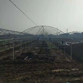 Multi serra della portata della tettoia di plastica/politene agricolo coltivare tunnel