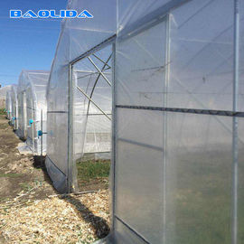 Singlespan che cresce coltivante la serra della pellicola di polietilene per le verdure