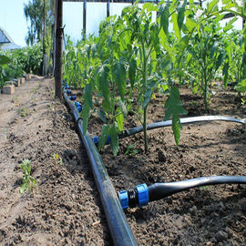 Sistema dell'irrigazione a goccia della serra/sistema antincendio sopraelevato per la serra