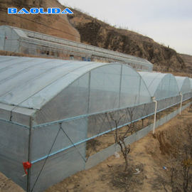 La serra del film plastico di Multispan con la scuola materna della pianta del sistema dell'irrigazione a goccia coltiva la tenda