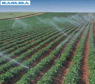Impianto di irrigazione della serra dell'azienda agricola/sistema di innaffiatura Polytunnel dello spruzzatore