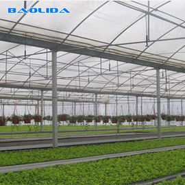 Involucro di plastica di alta qualità Vento-resistente di crescita del raccolto 8 Mil Multi Span Greenhouse