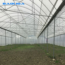 Tunnel di rotolamento del semenzaio dei banchi che coltiva la multi serra della portata di 4.5m