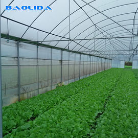 Serra della portata di protezione UV della pellicola di polietilene di controllo automatico multi per la crescita delle piante