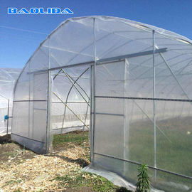 Singola portata che coltiva la serra di plastica del tunnel resistente UV di 12m