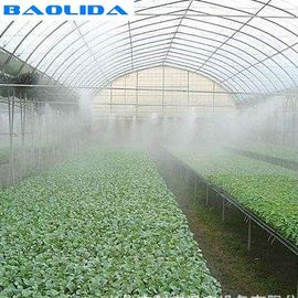 Piante agricole dell'azienda agricola che coltivano l'impianto di irrigazione automatico della serra