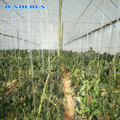 Serra di plastica della portata di industriale commerciale agricolo multi per la piantatura del pomodoro
