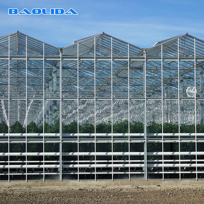 I lati ed il vetro superiore di Multispan del sistema di ventilazione hanno riguardato il tipo serra di Venlo