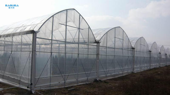 La immersione calda ha galvanizzato la serra di plastica d'acciaio di Multispan per la piantatura di Four Seasons