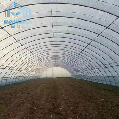 Piante di agricoltura che coltivano la forte serra della pellicola di polietilene della struttura per area fredda