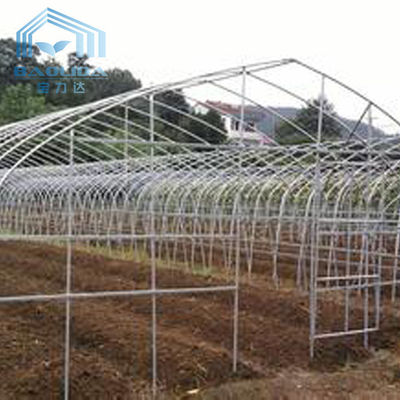 Portata di Polytunnel Sri Lanka Colombo Steel Frame Greenhouse Single