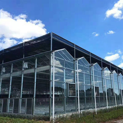 Tipo serra di Venlo della portata della serra di vetro solare del fungo della copertura di inverno del giardino multi