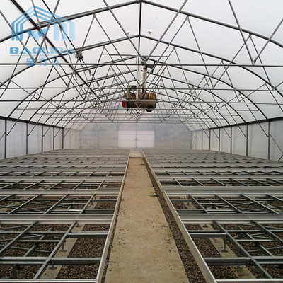 Serra di plastica agricola del cerchio della serra del tunnel per la crescita di verdure