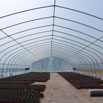 Strato di plastica del tunnel standard classico della serra che riguarda crescita di verdure