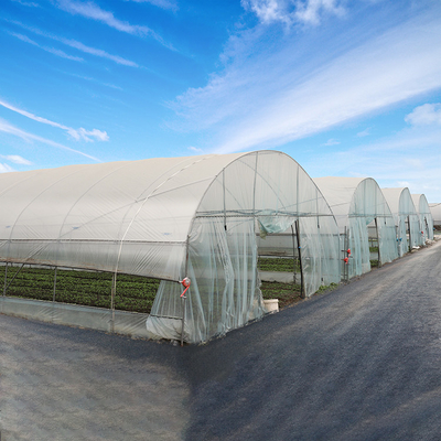 Il film plastico dell'agricoltura ha coperto la singola serra del tunnel per il clima tropicale