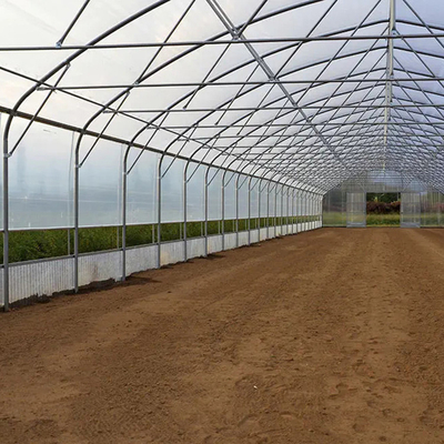 serra del film di rivestimento di plastica della portata di lunghezza di 30m singola per coltivazione del pomodoro
