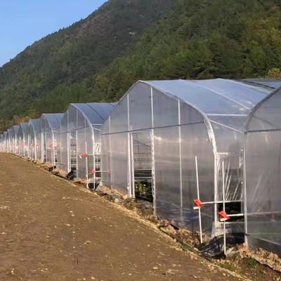 serra del film di rivestimento di plastica della portata di lunghezza di 30m singola per coltivazione del pomodoro