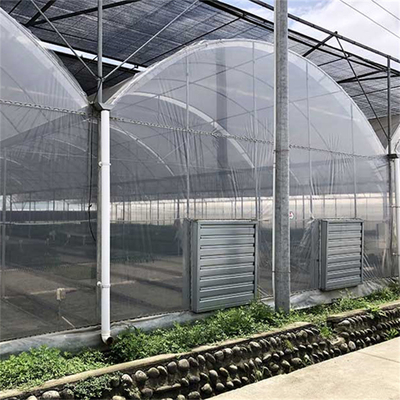 Serra galvanizzata del tunnel della portata del film plastico agricolo del tubo d'acciaio multi per la verdura