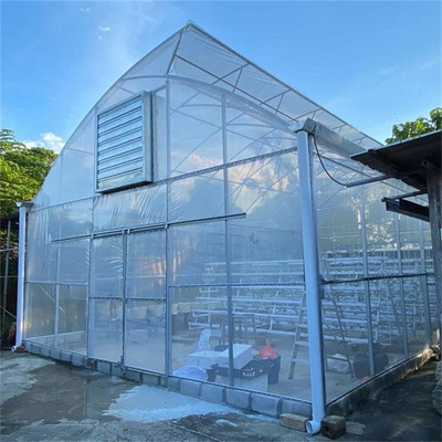 Anti larghezza di gocciolamento della serra 10m del film plastico per la piantatura del pomodoro