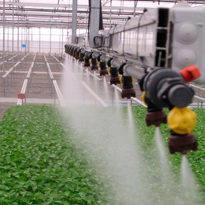 Poli impianto di irrigazione della serra del gocciolamento per l'azienda agricola orticola