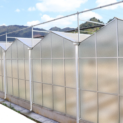 Rivestimento quadrato trasparente della struttura d'acciaio della chiara serra del policarbonato del film di agricoltura