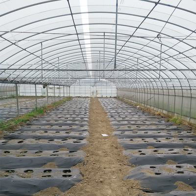 Multi serra del film plastico della struttura della portata per l'animale agricolo di verdure