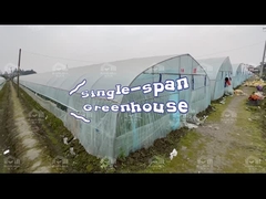 Galvanized Steel Frame Single Span Greenhouse Plastic Film Covering 8*30m