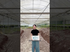 Pronto ad elevare il tuo gioco di agricoltura?