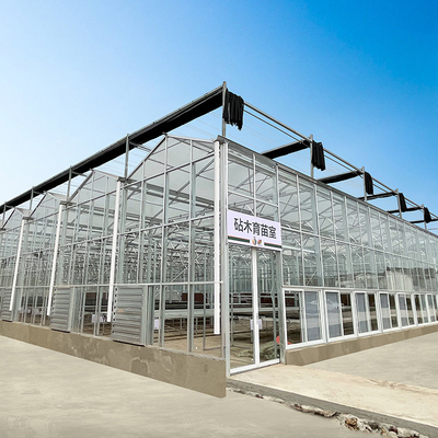 Qualità  Multi Span Hyroponic Galvanized Float Venlo Greenhouse Glass Agricultural Kits fabbrica