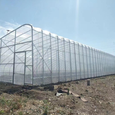 Qualità  Plastic Film Solar Passive Greenhouse With Rainwater Collection Support fabbrica