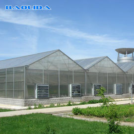 Qualità  Commercial Polycarbonate Sheet Greenhouse / PC Sheet Greenhouse Customized Material fabbrica