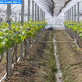 Qualità  Small Greenhouse Irrigation System / Greenhouse Auto Watering System fabbrica