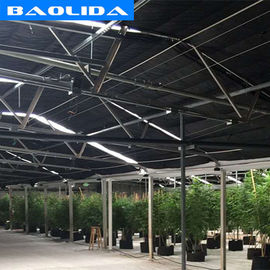Qualità  Advanced Automated Blackout Greenhouse Full Auto Light Deprivation Hemp Growing fabbrica
