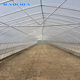 Qualità  Tomato Growing Naturally Ventilated Greenhouse Plastic Film Greenhouse fabbrica