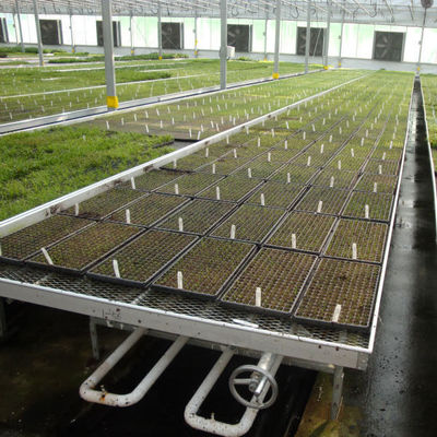 Qualità  Modern Aluminum Greenhouse Ebb Flow Table With Drain Tray Valve fabbrica