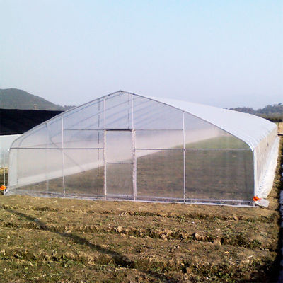 Qualità  High Strength Agricultural Poly Tunnel Tomato Greenhouse 5*15m 17*50ft fabbrica