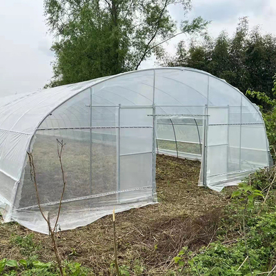 Qualità  Strawberry Growing Side Ventilation Single Span Greenhouse For Agriculture fabbrica