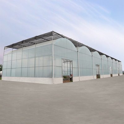 Qualità  Agriculture Hydroponic System High Tunnel Greenhouse Uv Film Multi Span fabbrica
