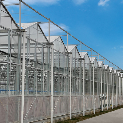 La multi portata Hyroponic ha galvanizzato i corredi agricoli di vetro della serra di Venlo del galleggiante