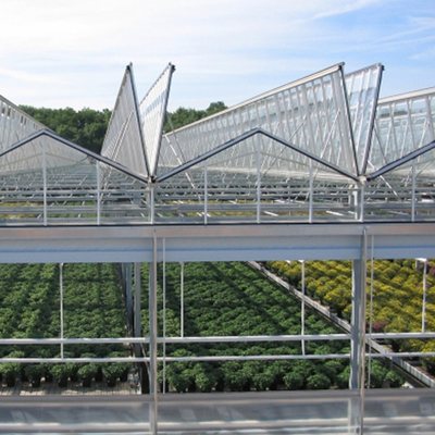 Serra di vetro solare agricola crescente idroponica del sistema per le verdure