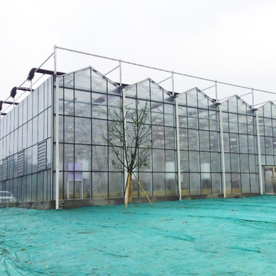 Serra idroponica di vetro di fibra della multi portata agricola per l'orticoltura